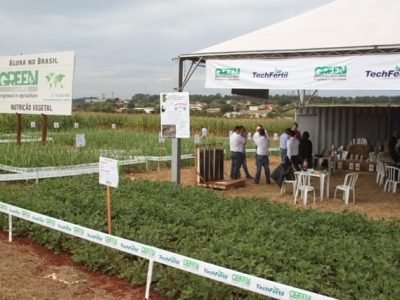 Crédito Fransérgio Leão