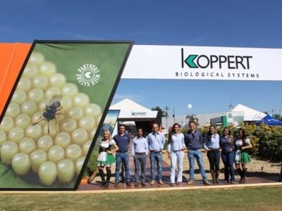 Crédito Fransérgio Leão