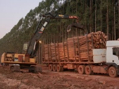 Crédito Girassol Agrícola