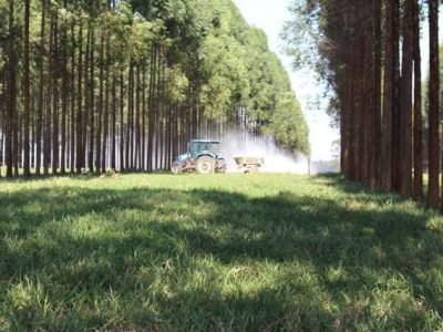 Crédito Gisele Rosso