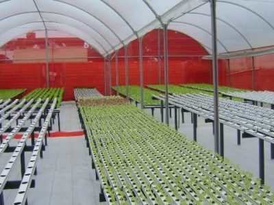 Crédito Glaucio Genuncio