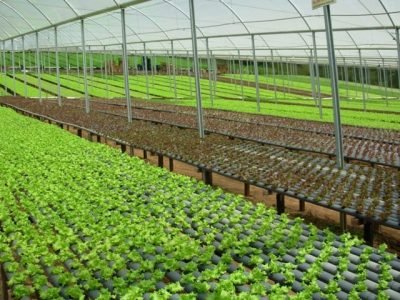 Crédito Hidroponia Itapecerica