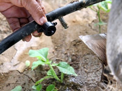 Crédito Ignácio Costa