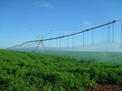 Crédito Iron de Lima