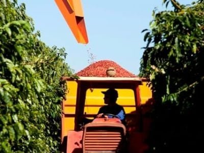 Crédito José Augusto Rizental