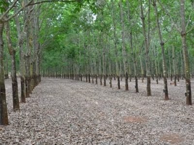 Crédito José Fernando Canuto