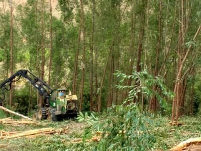 Foto-01-Crédito-Larissa-Nunes-dos-Santos