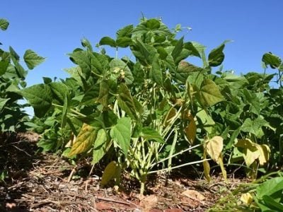 Foto-01-Crédito-Leonardo-Melo