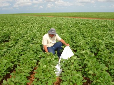 Crédito Lúcia Vivian