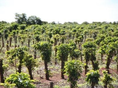 Foto-01-Crédito-Luize-Hess-2