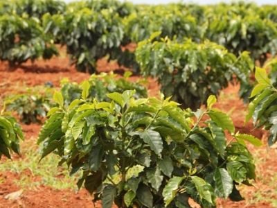 Foto-01-Crédito-Luize-Hess