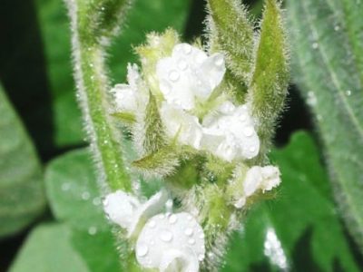 Foto 01 - Crédito Luize Hess