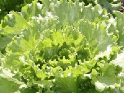 Foto-01-Crédito-LuizeHess1-200x300