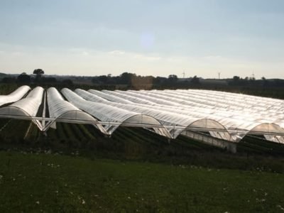 Crédito LysandroCanaes