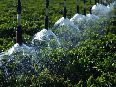 Crédito Marcelo André