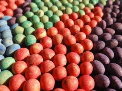 Crédito Marcelo Madalosso