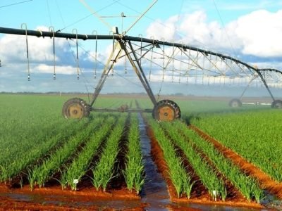 Crédito Marco Lucini