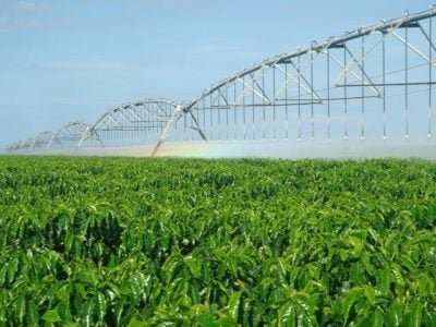 Crédito Marcos Pimenta