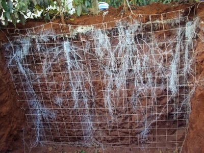 Crédito Maria LÃ­gia