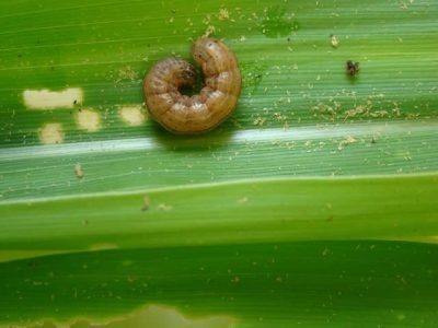 Crédito Marina Torres