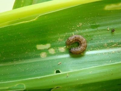 Crédito Marina Torres