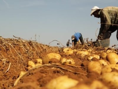 Crédito Maritza Borges