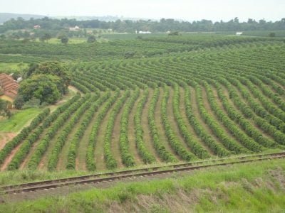 Crédito MaurÃ­cio Nasser