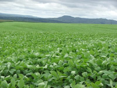 Foto-01-Crédito-Miriam-Lins