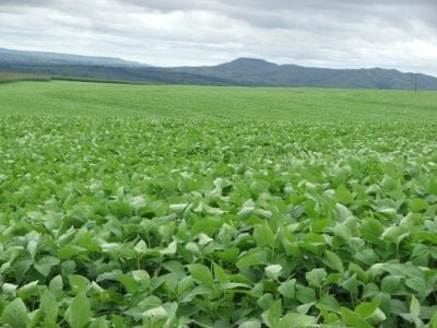 Foto-01-Crédito-Miriam-Lins