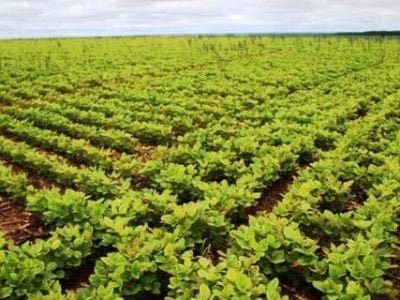 Crédito Miriam Lins