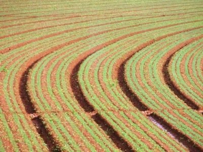 Crédito Miriam Lins