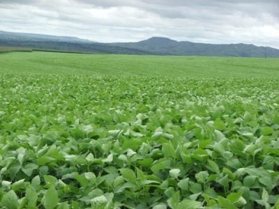 Crédito Miriam Lins