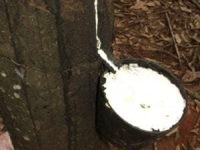 Foto-01-Crédito-Miriam-Lins-300x300