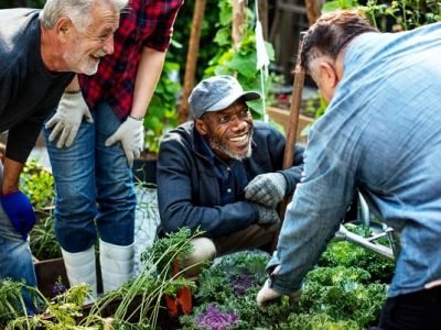 Group of people planting vegetable in greenhouse