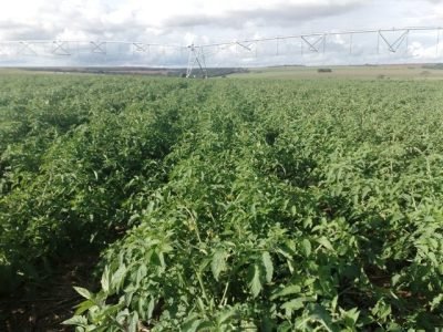 Crédito Nilton Gomes Jaime