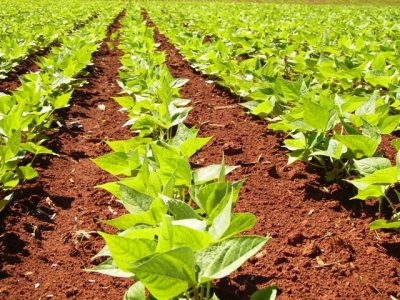 Crédito-Nilton-Jaime