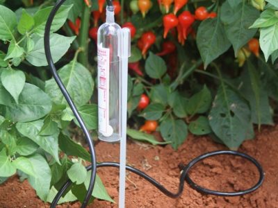 Crédito Paula Rodrigues