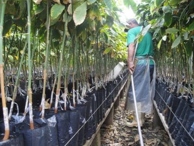 Crédito Paulo Brito