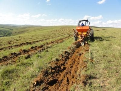 Crédito Paulo Henrique machado