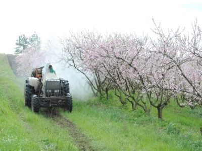 Crédito Paulo Lanzetta