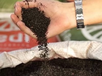 Crédito Paulo Machado