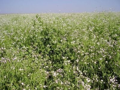 Crédito Paulo Trani