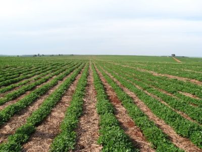 Crédito Pedro Faria Jr.