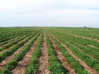 Crédito Pedro Faria Jr.