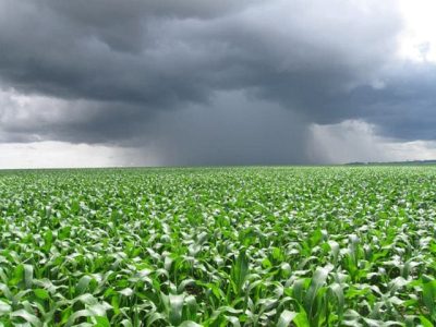 Crédito Rafael StortoNalin