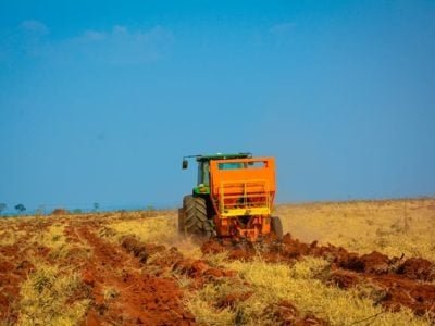 Crédito Ricardo Malinovski