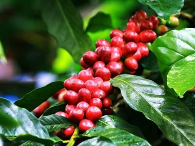 Foto 01 - Crédito Satis