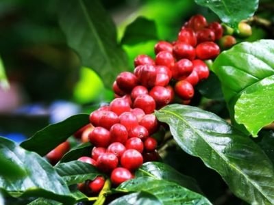 Foto 01 - Crédito Satis