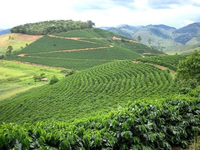 Crédito Sérgio Dalessandro