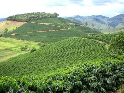 Crédito Sérgio Dalessandro